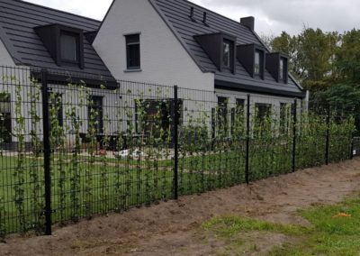 Dubbel staafmat hekwerk met hedera beplanting naast laag spijlenhekwerk met dubbele bovenligger