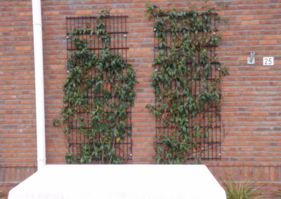 Panelen dubbel staafmat bevestigd aan muur tbv begroeiing.